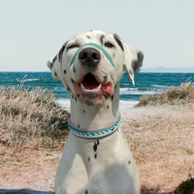 Load image into Gallery viewer, Seas the Day Collar, Teal & Lavender