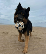 Load image into Gallery viewer, HOUNDS + HOME Ball