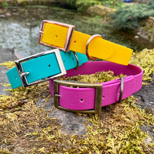 Load image into Gallery viewer, CLASSIC COLLAR - Design your own