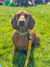 Load image into Gallery viewer, Awareness Lead Extender