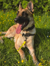 Load image into Gallery viewer, Awareness Tab