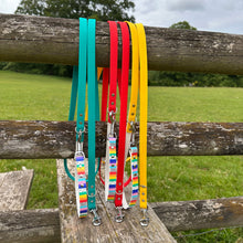 Load image into Gallery viewer, Strut your stripes Hands-free Training Lead