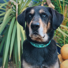 Load image into Gallery viewer, Dino Collar