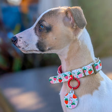 Load image into Gallery viewer, Strawberry Collar