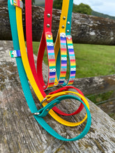 Load image into Gallery viewer, Strut your stripes Slip Lead/Figure 8 Lead