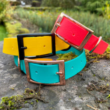 Load image into Gallery viewer, CLASSIC COLLAR - Design your own