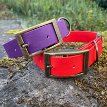 Load image into Gallery viewer, CLASSIC COLLAR - Design your own