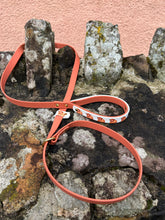 Load image into Gallery viewer, Highland Cow Slip Lead/Figure 8 Lead