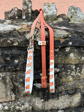 Load image into Gallery viewer, Highland Cow Hands-free Training Lead