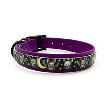 Load image into Gallery viewer, Bat Pack Collar