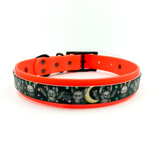 Load image into Gallery viewer, Bat Pack Collar