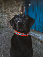 Load image into Gallery viewer, Bat Pack Collar