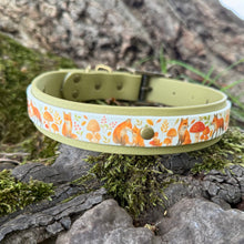 Load image into Gallery viewer, Autumn Fox Hands-free Training Lead