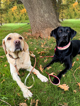 Load image into Gallery viewer, CHUNKY Autumn Fox Collar (38mm)