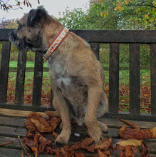 Load image into Gallery viewer, Autumn Fox Collar