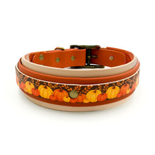 Load image into Gallery viewer, CHUNKY Autumn Harvest Collar (38mm)