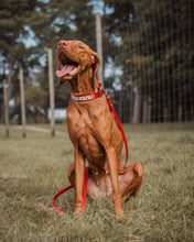 Load image into Gallery viewer, Strawberry Collar