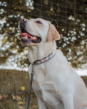 Load image into Gallery viewer, Aztec Collection (Design your own)