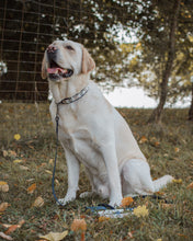 Load image into Gallery viewer, Aztec Collection (Design your own)