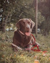 Load image into Gallery viewer, Strawberry Collar