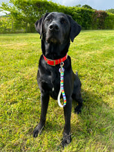 Load image into Gallery viewer, Strut your stripes Traffic Handle