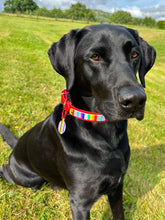 Load image into Gallery viewer, Strut your stripes Tag