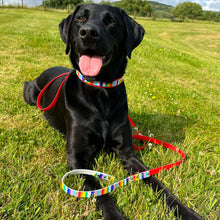 Load image into Gallery viewer, Strut your stripes Hands-free Training Lead