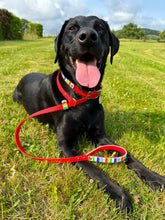 Load image into Gallery viewer, Strut your stripes Slip Lead/Figure 8 Lead