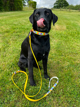 Load image into Gallery viewer, Strut your stripes Hands-free Training Lead