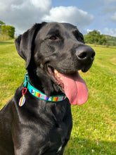 Load image into Gallery viewer, Strut your stripes Tag