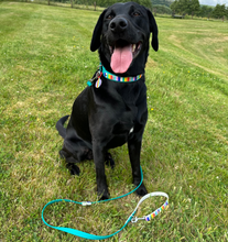 Load image into Gallery viewer, Strut your stripes Hands-free Training Lead