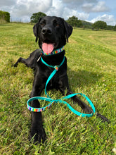 Load image into Gallery viewer, Strut your stripes Slip Lead/Figure 8 Lead