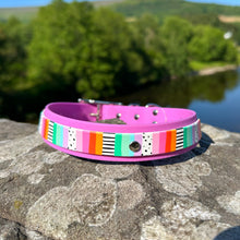 Load image into Gallery viewer, Pastel stripes Collar