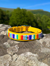 Load image into Gallery viewer, Strut your stripes Collar