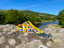 Load image into Gallery viewer, Strut your stripes Traffic Handle