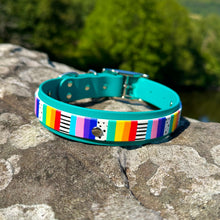 Load image into Gallery viewer, Strut your stripes Collar