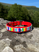 Load image into Gallery viewer, Strut your stripes Collar