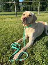 Load image into Gallery viewer, Pastel Stripes Classic Lead