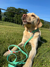 Load image into Gallery viewer, Pastel Stripes Classic Lead