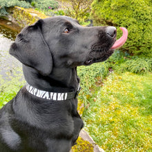 Load image into Gallery viewer, Zebra Print Collar