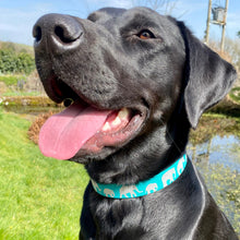 Load image into Gallery viewer, Elephant March Collar