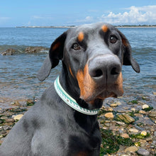 Load image into Gallery viewer, Seas the Day Collar, Hunter & Mint