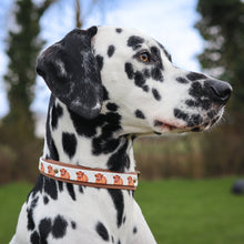 Load image into Gallery viewer, Highland Cow Collar