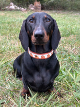 Load image into Gallery viewer, Highland Cow Collar