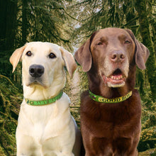 Load image into Gallery viewer, Custom Name Plaque Collar