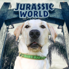 Load image into Gallery viewer, Custom Name Plaque Collar