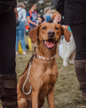 Load image into Gallery viewer, Highland Cow Hands-free Training Lead