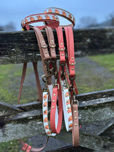 Load image into Gallery viewer, Highland Cow Hands-free Training Lead