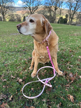 Load image into Gallery viewer, Pink Checkmate Hands-free Training Lead