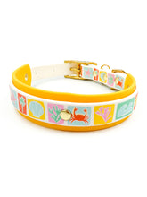 Load image into Gallery viewer, Pastel Beach Collar
